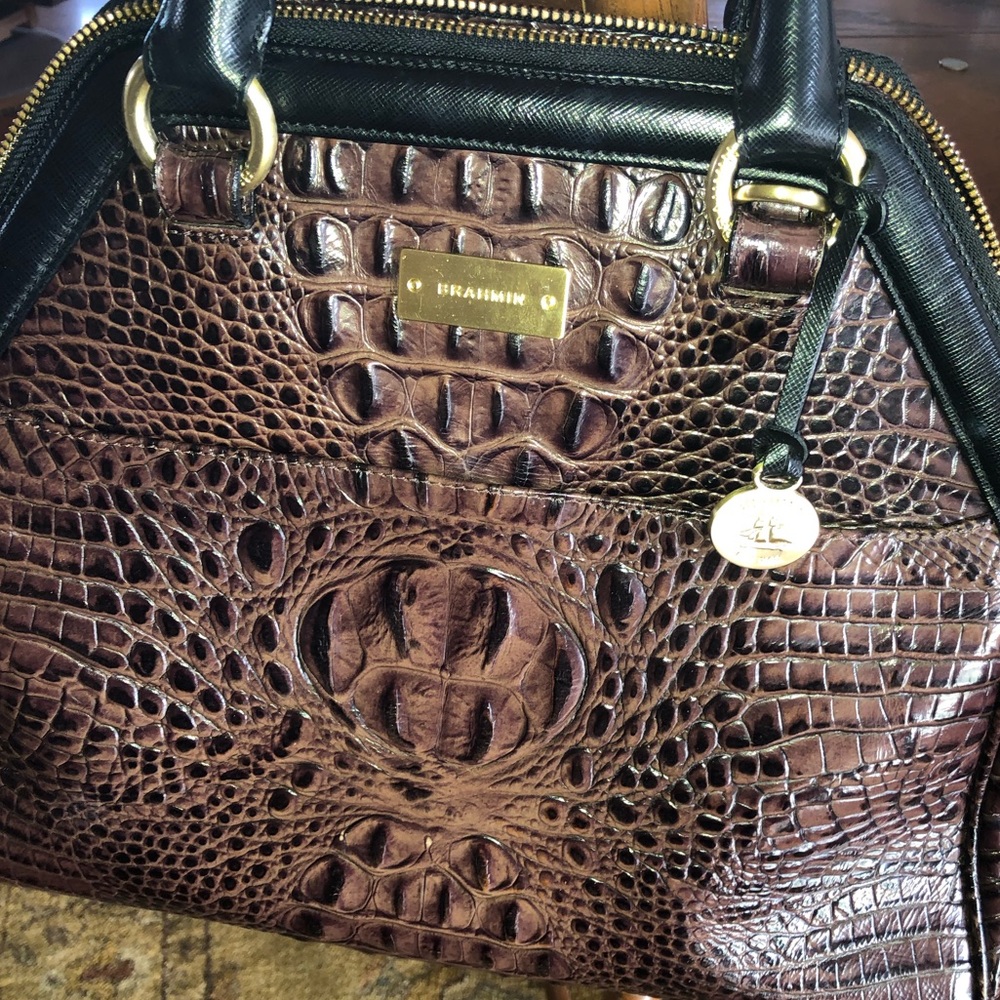 Brahmin Purse